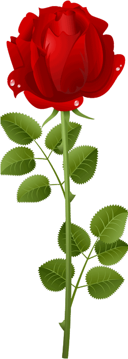 15th Wedding Anniversary - Stock Illustration (250x753)