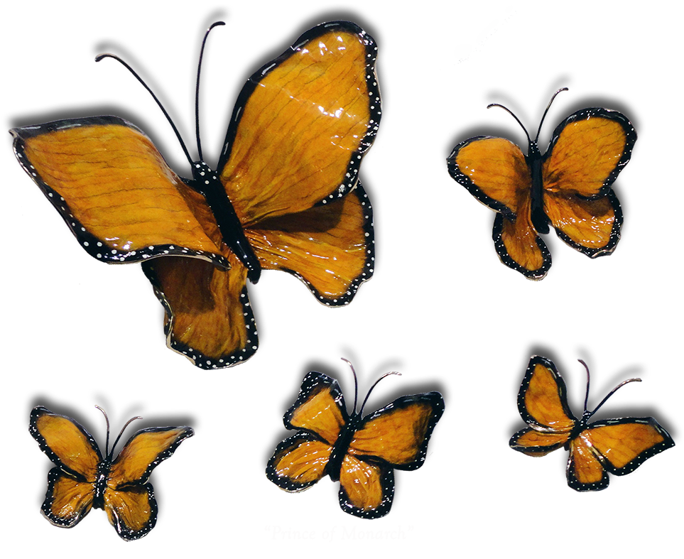 Ron & Sheila Ruiz Monarch Butterfly Exposures International - Monarch Butterfly (1024x851)