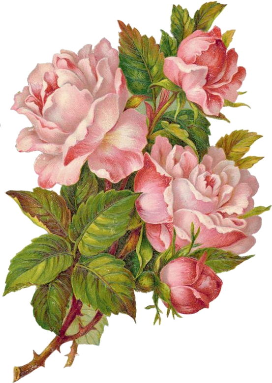 Paper Rose Flower Sticker - Violette Stickers Pink Rose Wreaths (564x795)
