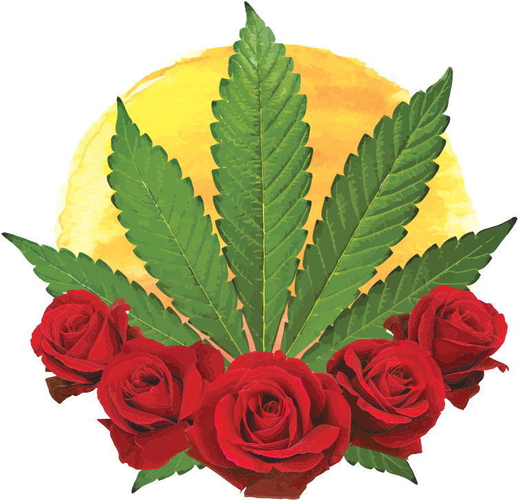 Cannabis Sativa Garden Roses Marijuana Hemp - Positive Roots Garden (781x782)