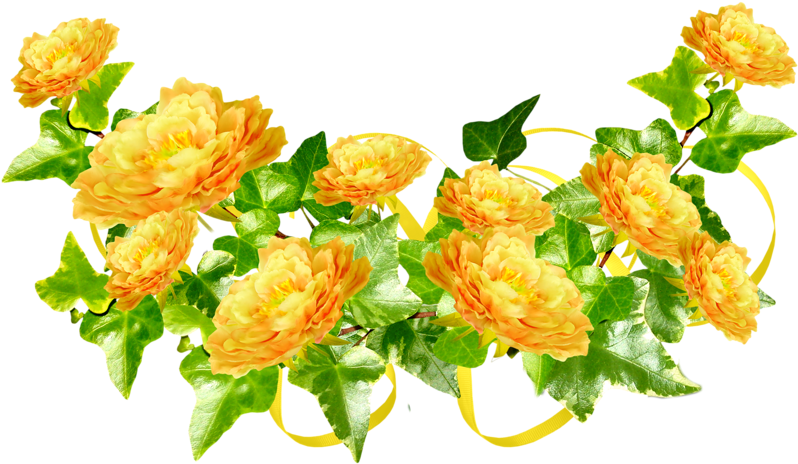 Garden Roses Flower Picture Frames Yellow - Love (800x800)