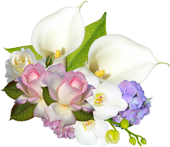 Cluster, Scrapbooking, Wedding, Flowers, Romance, Calla - Cluster Png (720x720)
