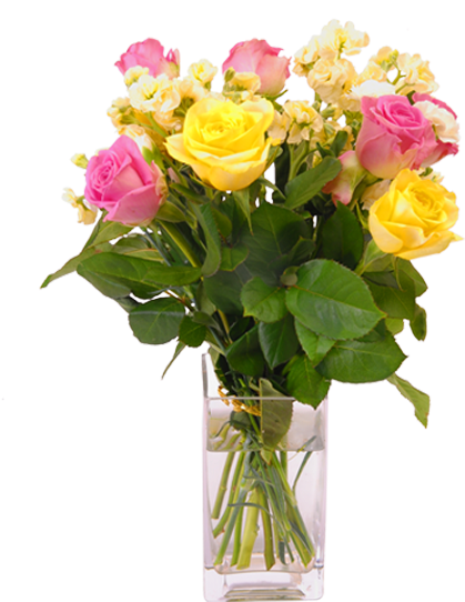 Vase Garden Roses Flower Seducing Cinderella - (16+) Все О Самых Лучших Садовых И Комнатных Растениях (600x600)