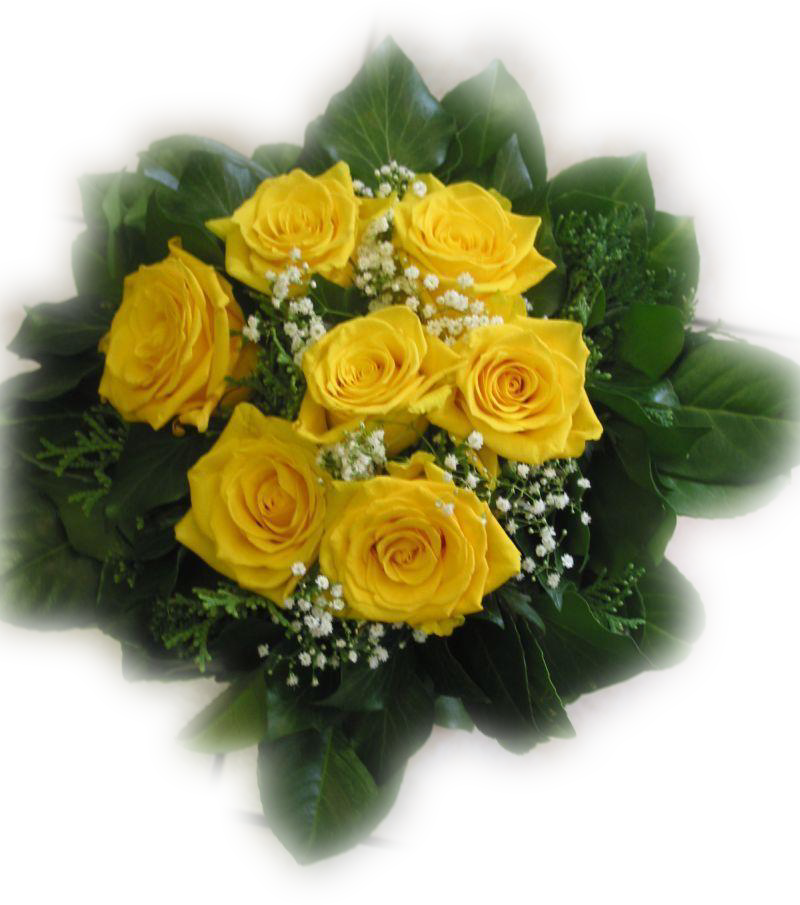 Garden Roses Flower Bouquet Cut Flowers - Garden Roses (800x905)