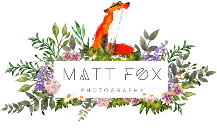 Matt Fox Photography - Matt Fox Photography (1000x579)