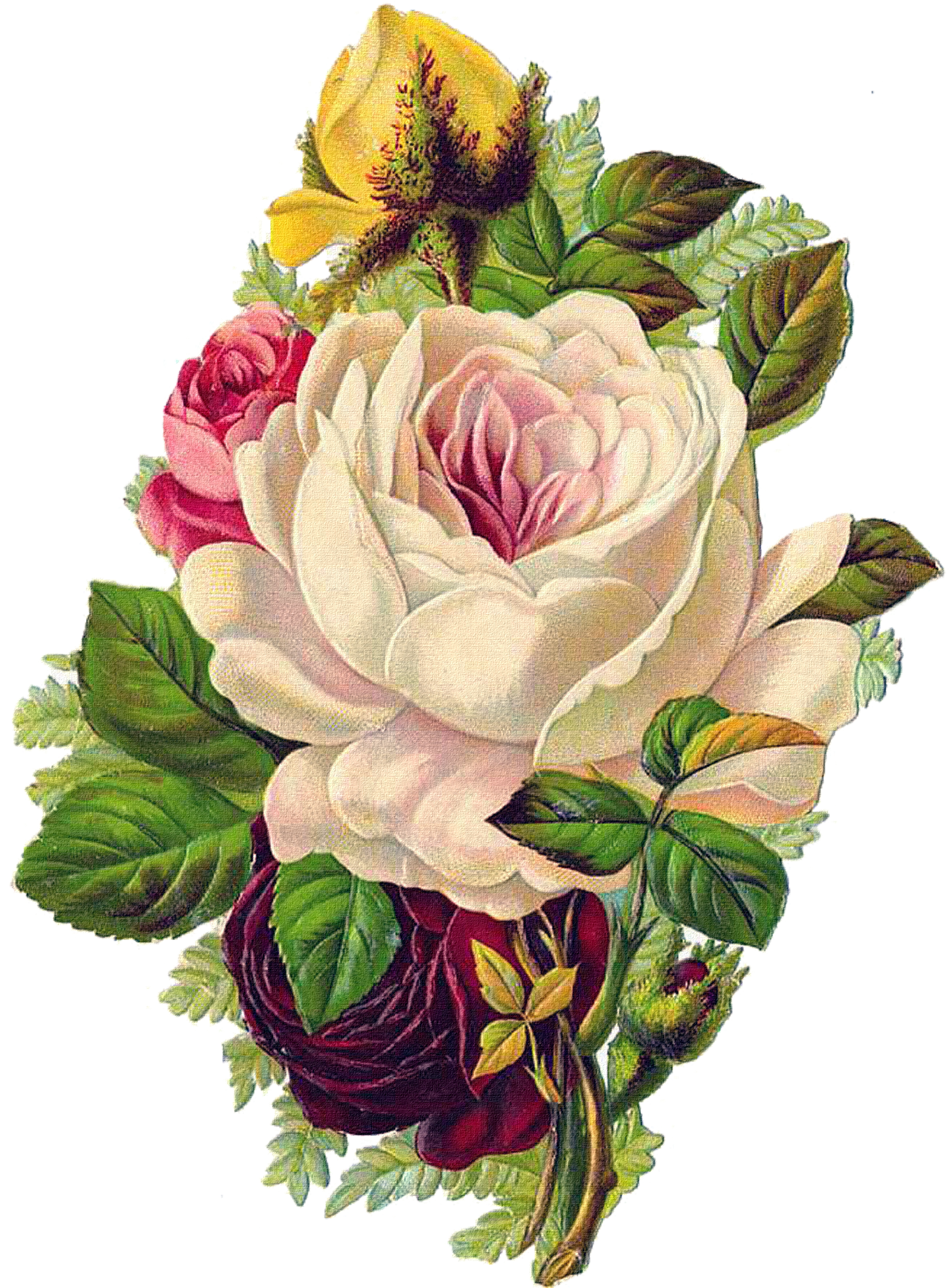 Rose Flower Paper The Babys Bouquet - Flowers Victorian Vintage (1894x2598)