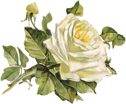 Pin By Eva Church On Clip Art - Anywords Men Women Blue Wedding Anniversary Bands Dome (500x418)