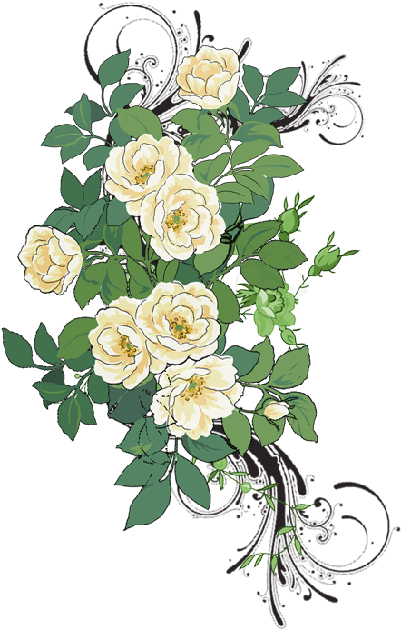 Flower Garden Roses Pattern - Flower White Psd (449x700)