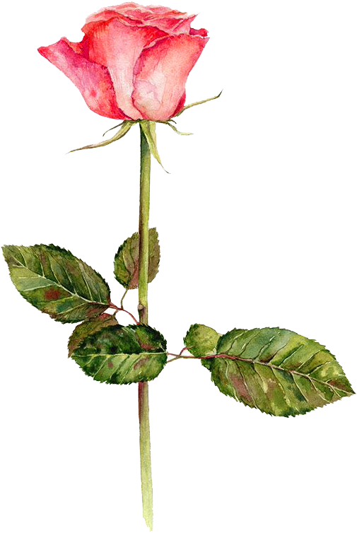 Festival Of The Flowers Watercolor - Watercolor Painting (600x975)