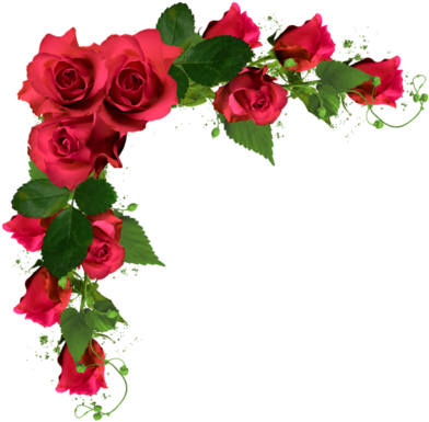 Beautiful Decor With Roses Png By Aarizvi - Rose Png (400x395)