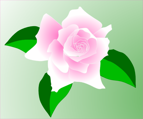 Pink-rose Clip Art - Single Pink Rose Clip Art (600x500)