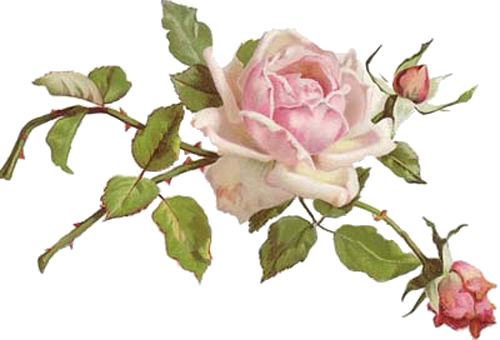 Pin By Vera Louise Riddle On Vintage Floral Images - Daily Planner Onenote Templates (500x340)