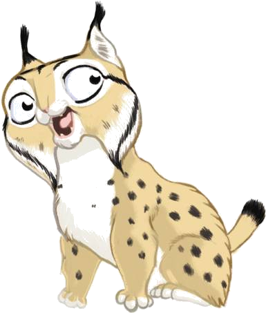 I'm An Iberian Lynx Cub And I Live At The Mediterranean - Iberian Lynx Live (431x496)