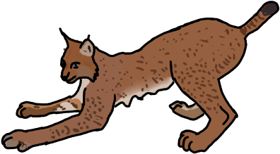 Eurasian Lynx Practice By Cobracatdragon2898 - Cat Yawns (426x284)