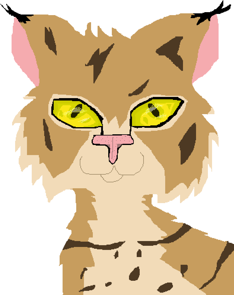 W - I - P Lynx - Cat Yawns (1000x1000)