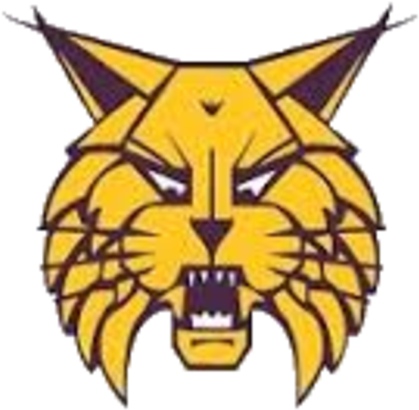 Webster City Lynx - Webster City Lynx Football (720x643)