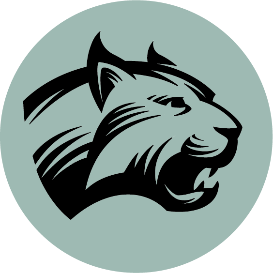 Lynx Urban Outdoor - Hungry Panther Vinyl Wall Art (black) (564x564)