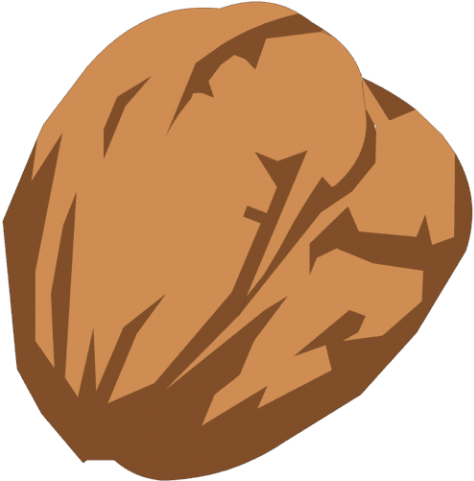 Free Png Walnut Png Images Transparent - Walnut Clipart Png (480x480)