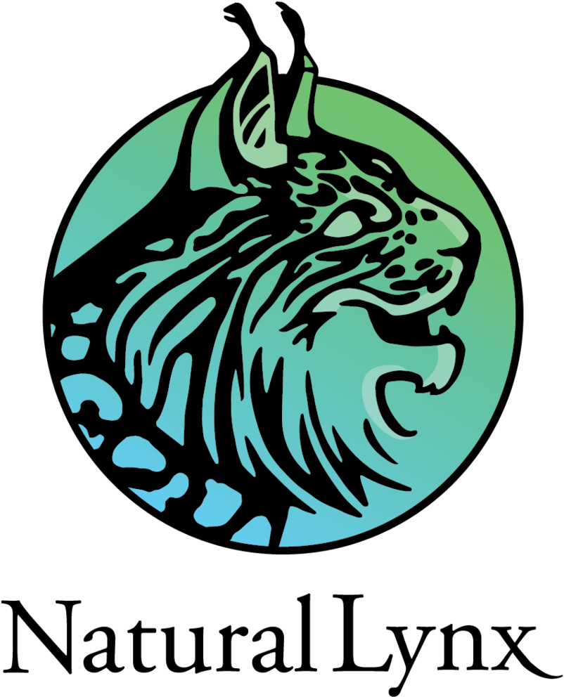 Natural Lynx Creative Studio - Escudo Del Real Madrid (1024x1016)