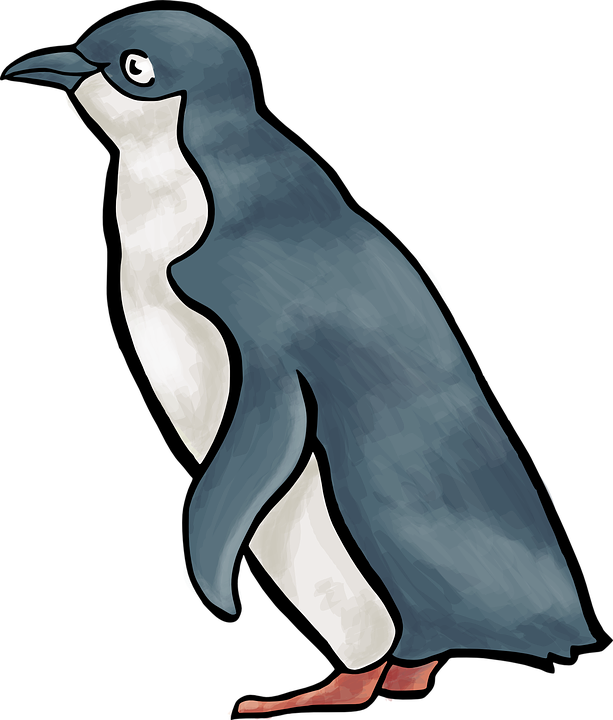 Similar Images For Gentoo Penguin Cliparts - Little Blue Penguin Clipart (1090x1280)