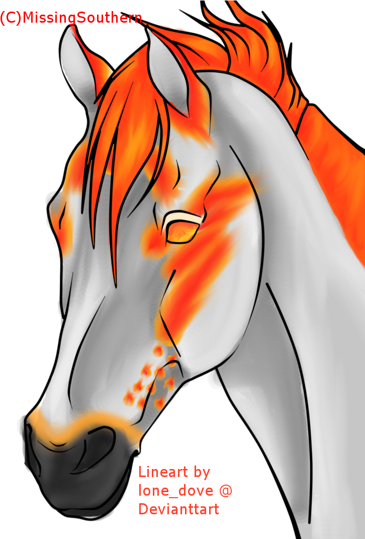 Auction- Flame Lynx Point Colored Horse Head - Stallion (748x1069)