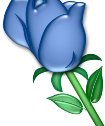 Blue Rose Clipart Small - Blue Rose Clipart Small (640x480)