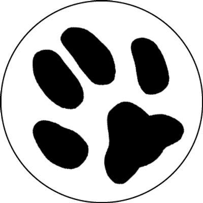 Lynx Paw Games - Abyss Dvd Cover (400x400)