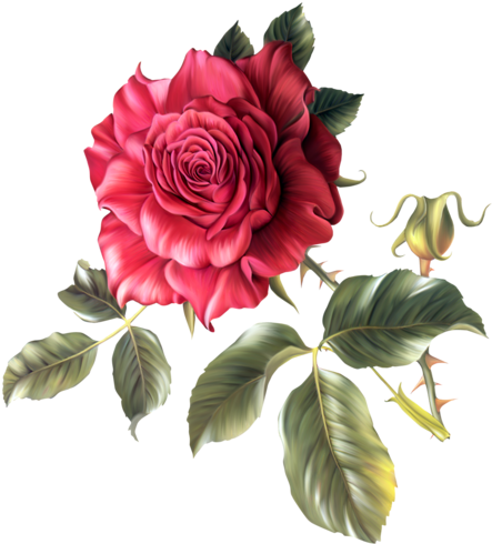 Tubes Fleurs Rose Png - Most Romantic Valentine Greeting Cards (pk Of 10) (453x500)