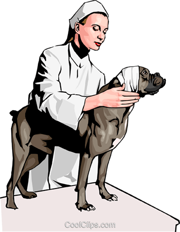 Veterinary Royalty Free Vector Clip Art Illustration - Pet (371x480)