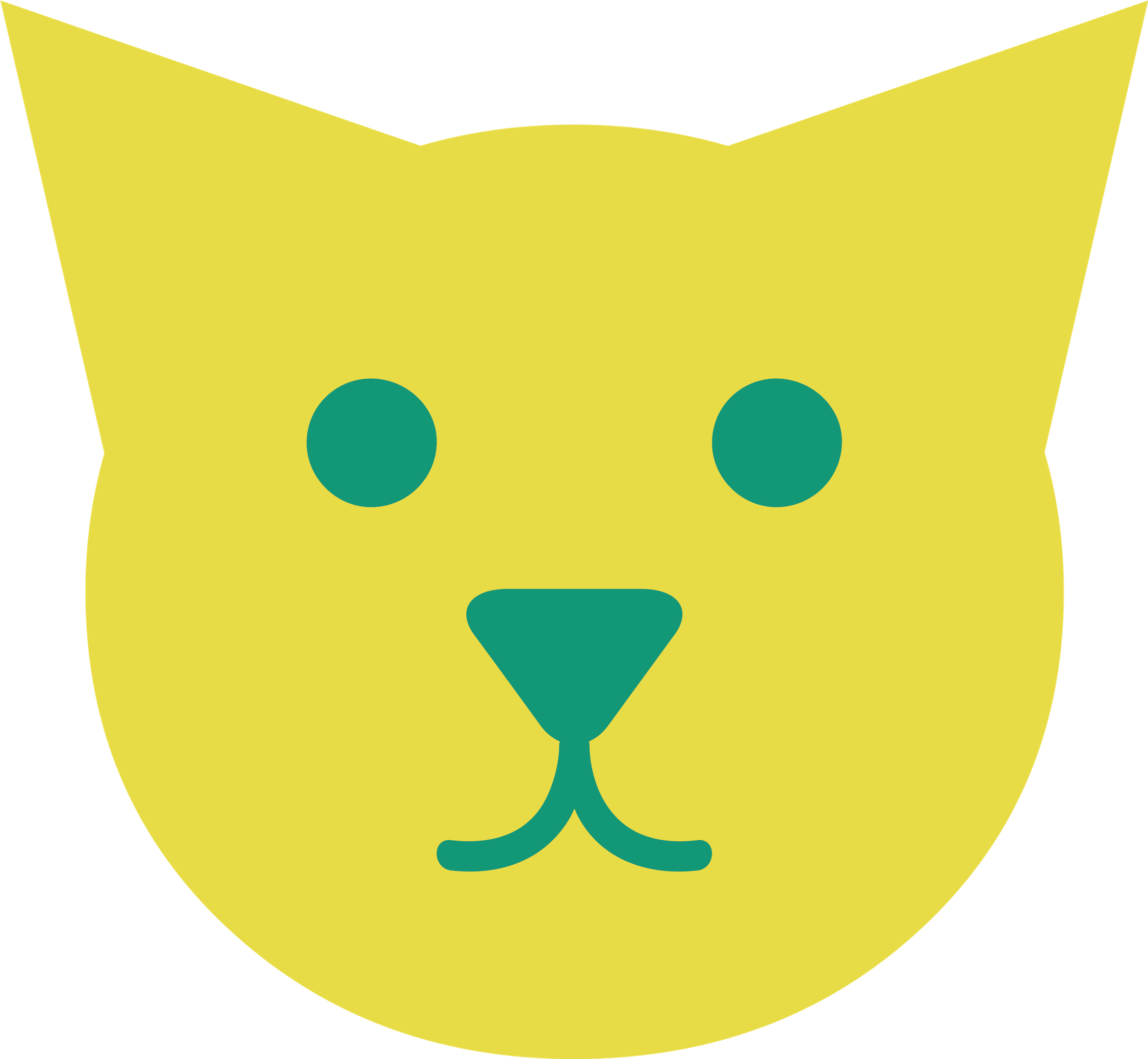 Diamond Vet Clinic - Domestic Short-haired Cat (2308x2307)