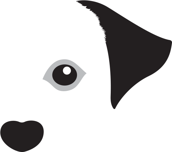 Veterinary Physician (590x703)