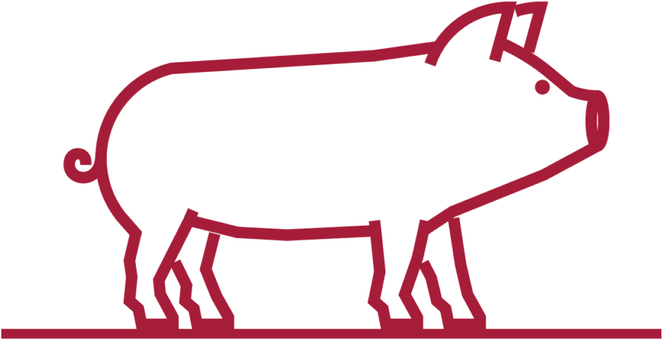 On A Budget - Vector Graphics (1024x1024)