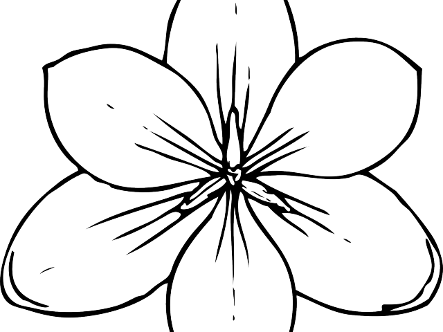 Black And White Flower Clipart - Coloring Pages Of Flowers (640x480)