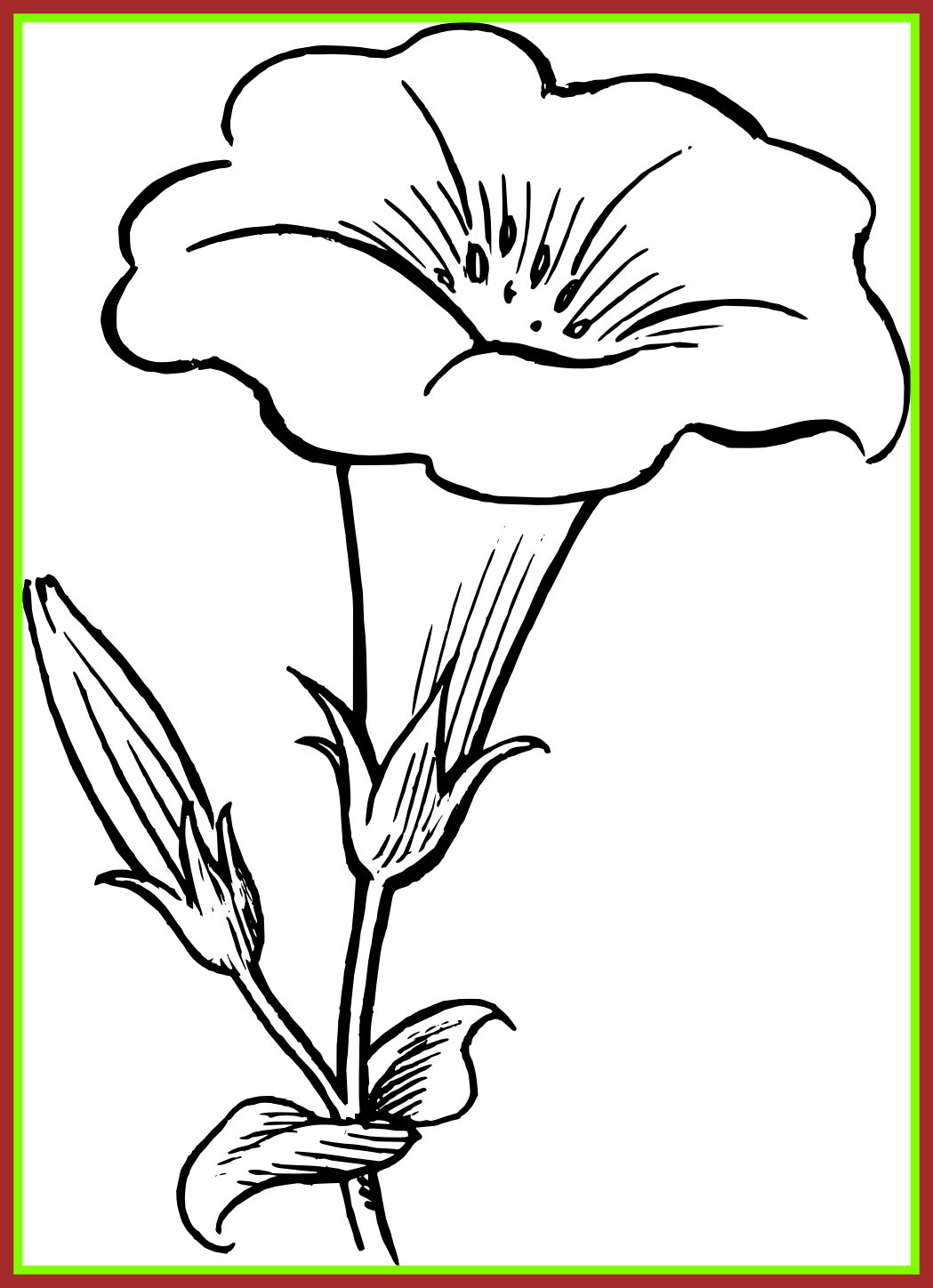 Flower Images Flower Images Black N White Awesome Senses - Simple Flowers To Draw (1049x1448)