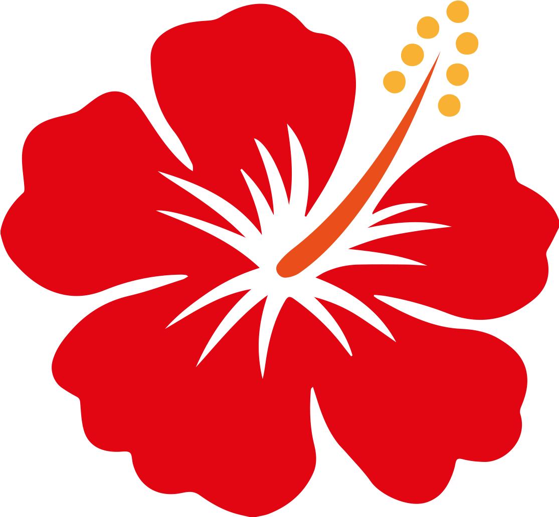 Hawaii Shoeblackplant Flower Clip Art - Shoe Flower Clip Art (1200x1200)