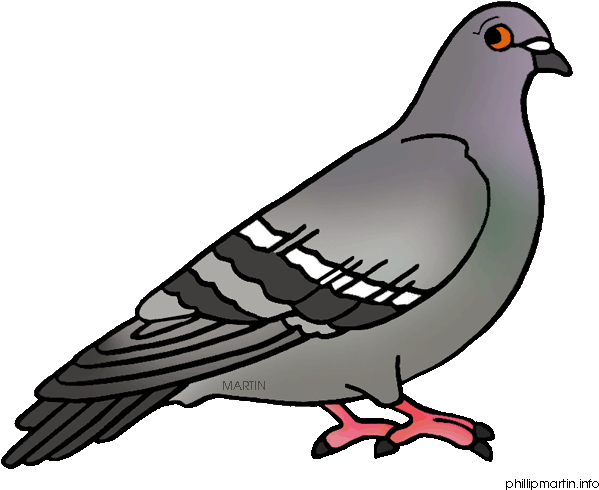 Top 77 Pigeon Clip Art - Pigeon Clipart (648x536)