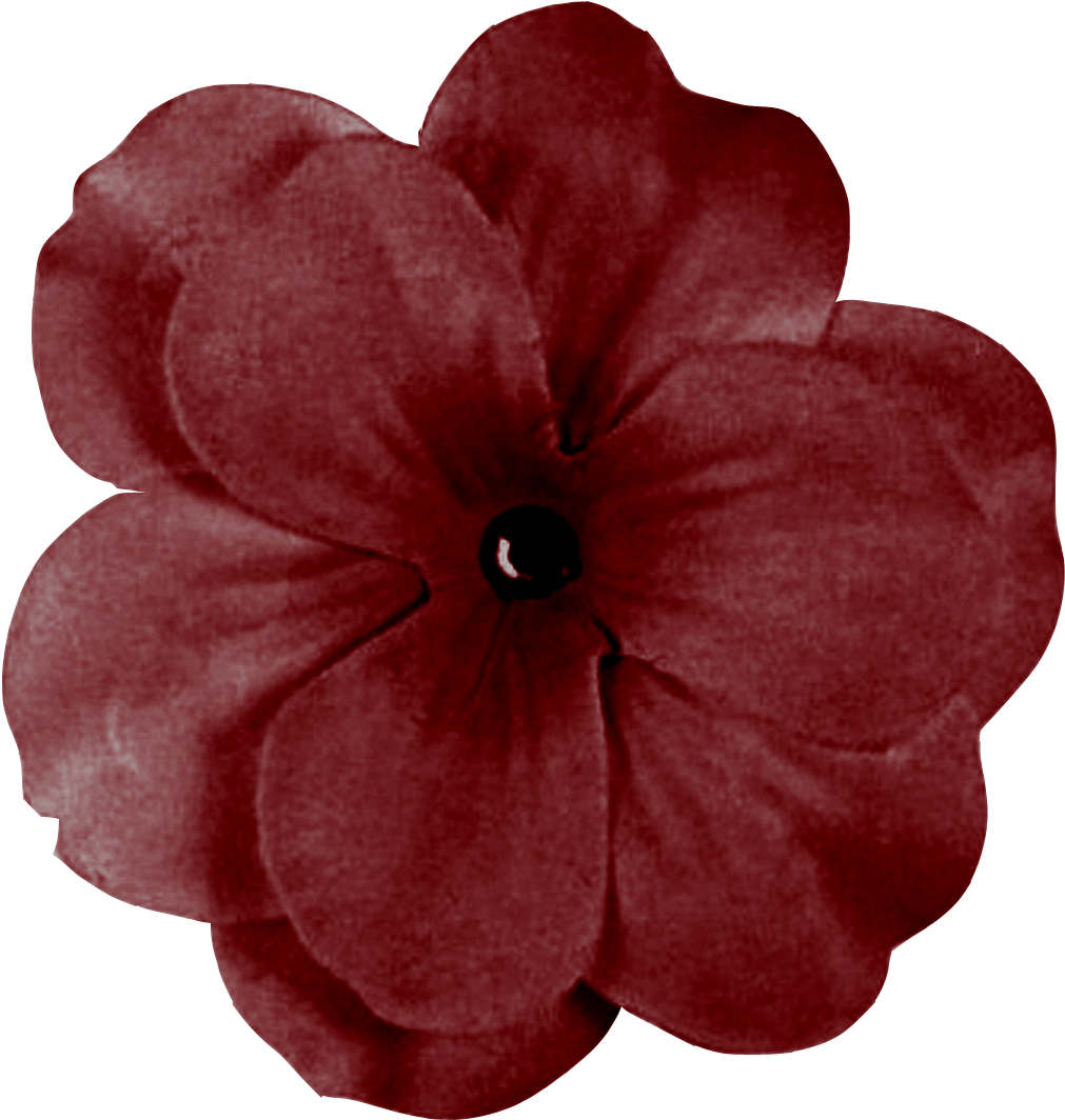 Bow Dk Green2 800×800 Píxeles - Geranium Flower Png (1200x1200)