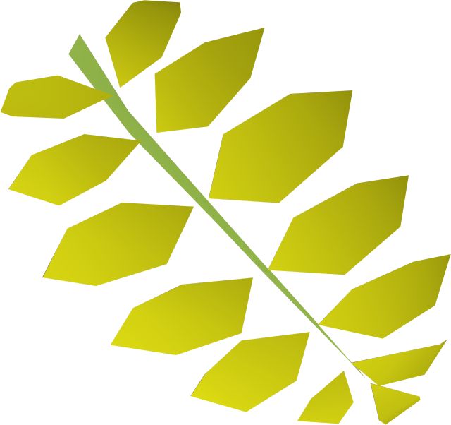 Free Football Tackling Cliparts, Download Free Clip - Curry Tree (640x602)