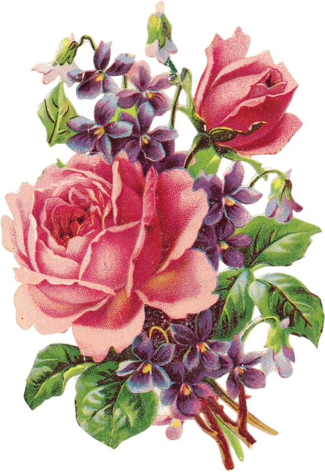 Paper Flower Rose Vintage Clothing Clip Art - Roses And Violets Clipart (698x1024)