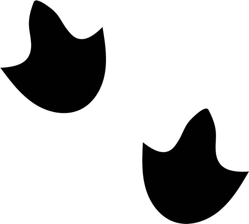 Partridge Tracks Rubber Stamp - Partridge Tracks Rubber Stamp (800x800)