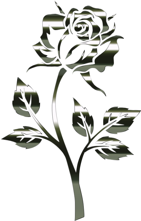 Medium Image - Black And White Rose No Background (493x771)