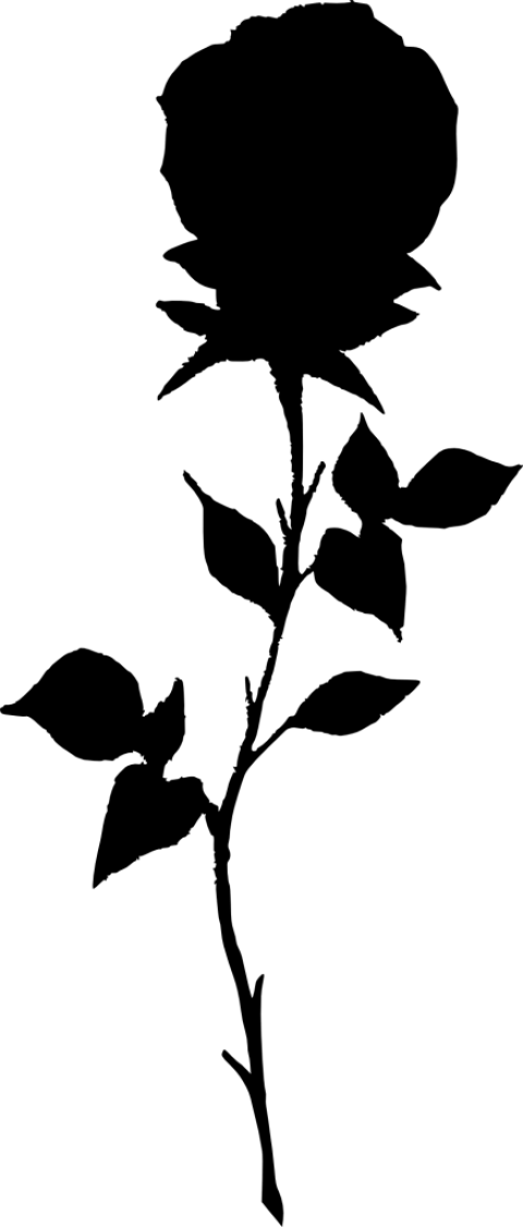 Free Png Rose Silhouette Png Images Transparent - Rose Silhouette Transparent Background (480x1125)