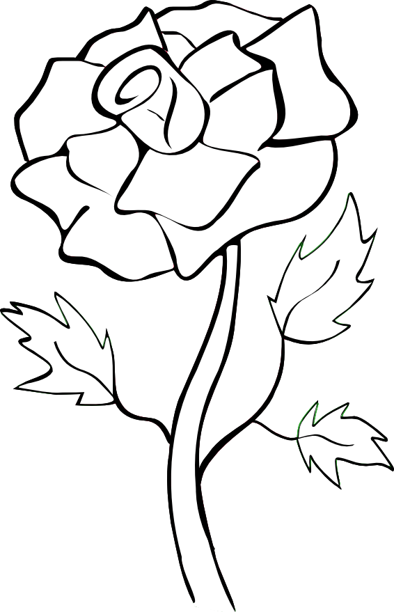 Rose Silhouette Cliparts - White Silhouette Flower Png (566x879)