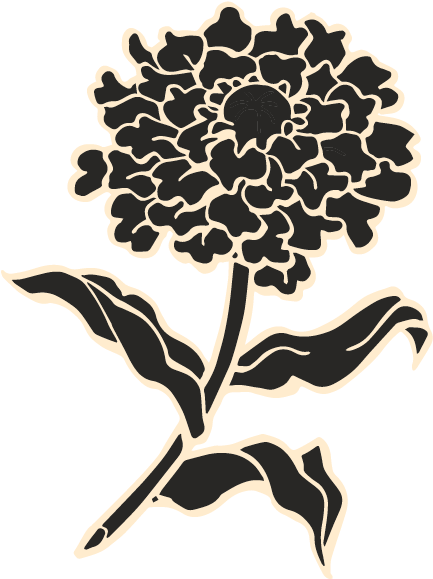 Wild-crafted Rose Marigold - Illustration (625x625)