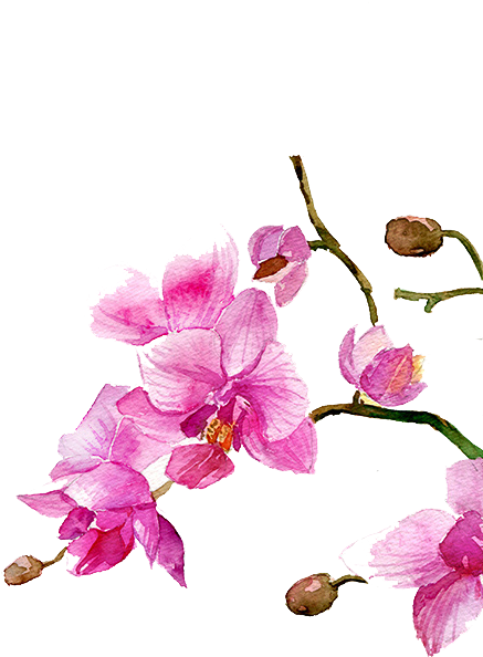 Watercolour Flowers Watercolor Painting Drawing - Watercolor Painting (464x700)