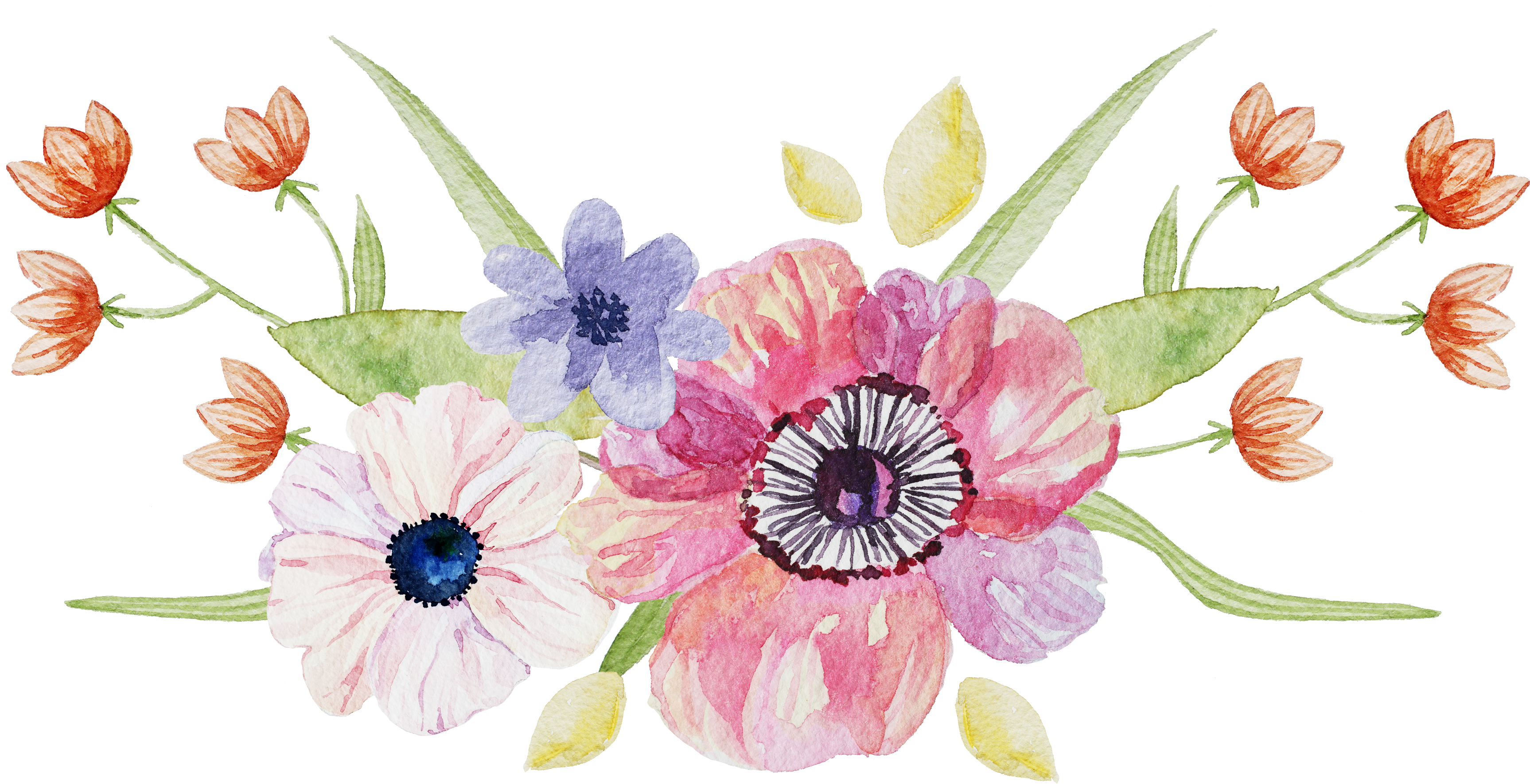 Fresh And Elegant Floral Watercolor Number - Elegant Floral Png (3500x1930)