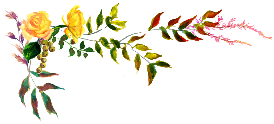 Roses - Rose (954x432)