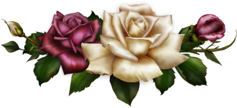 Rose Png Gul 7sdjoe - Transparent Floral Corner Border (800x366)