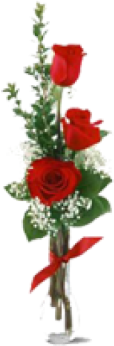 3 Red Roses Bouquet (500x500)