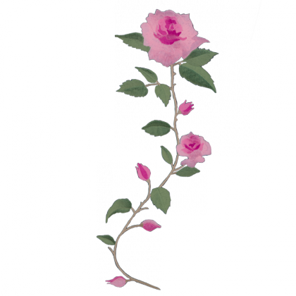 Green Long Stem Rose Png - Long Stem Pink Roses Png (420x420)